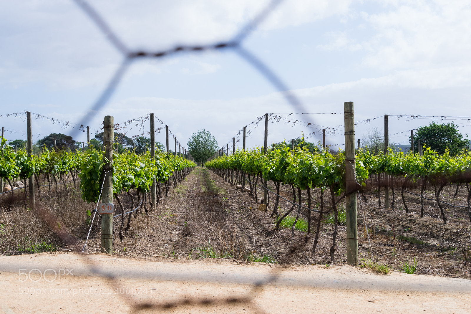 Sony a7 sample photo. Worth the wait photography