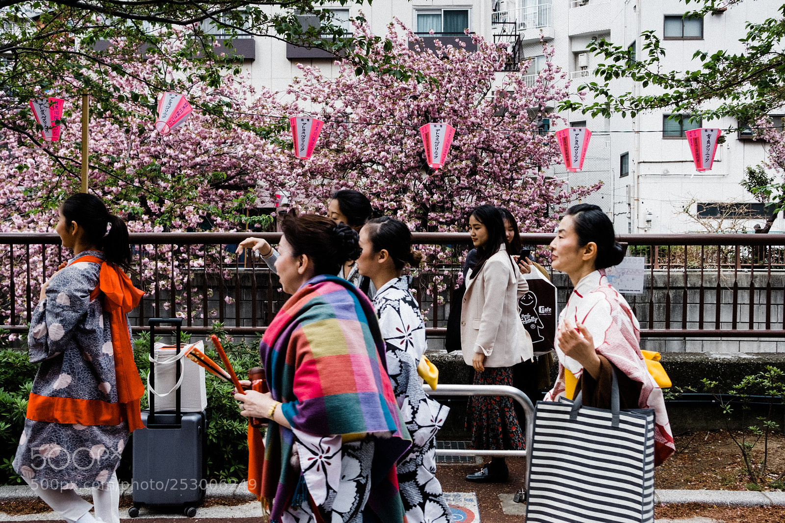 Fujifilm X-Pro2 sample photo. Sakura in nakameguro photography