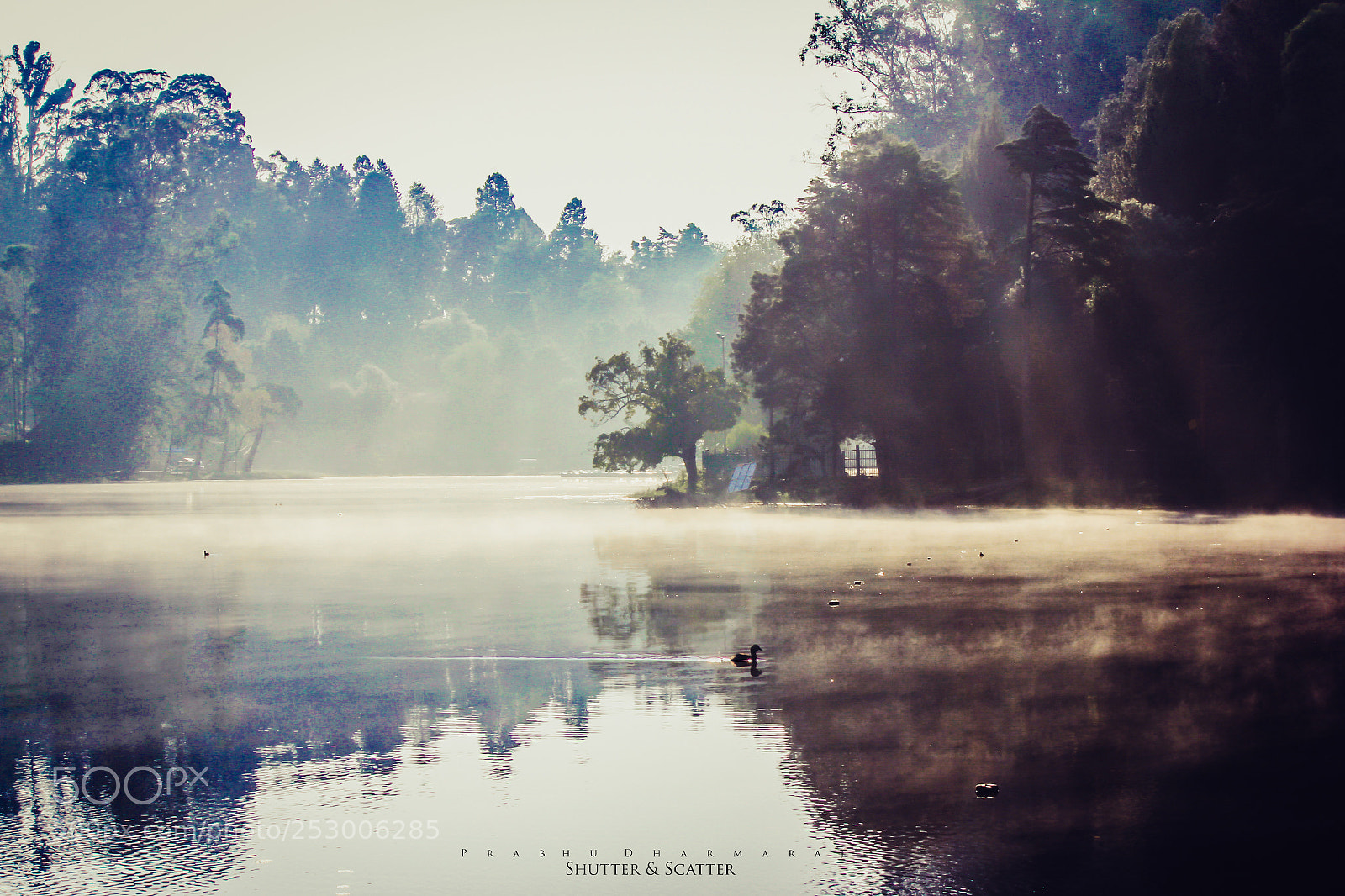 Canon EOS 60D sample photo. Fairy tale photography