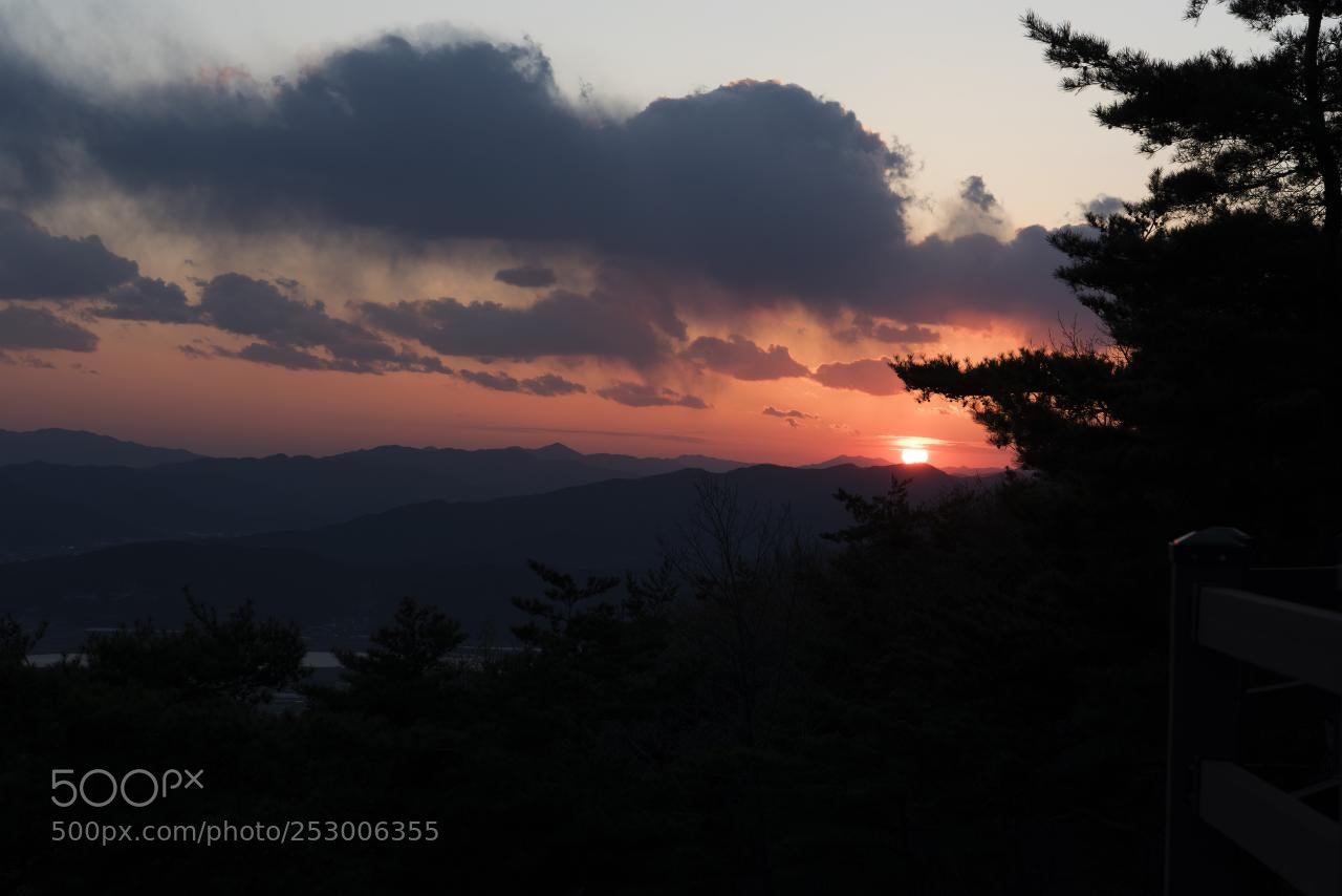 Nikon D810 sample photo. Today is a different photography