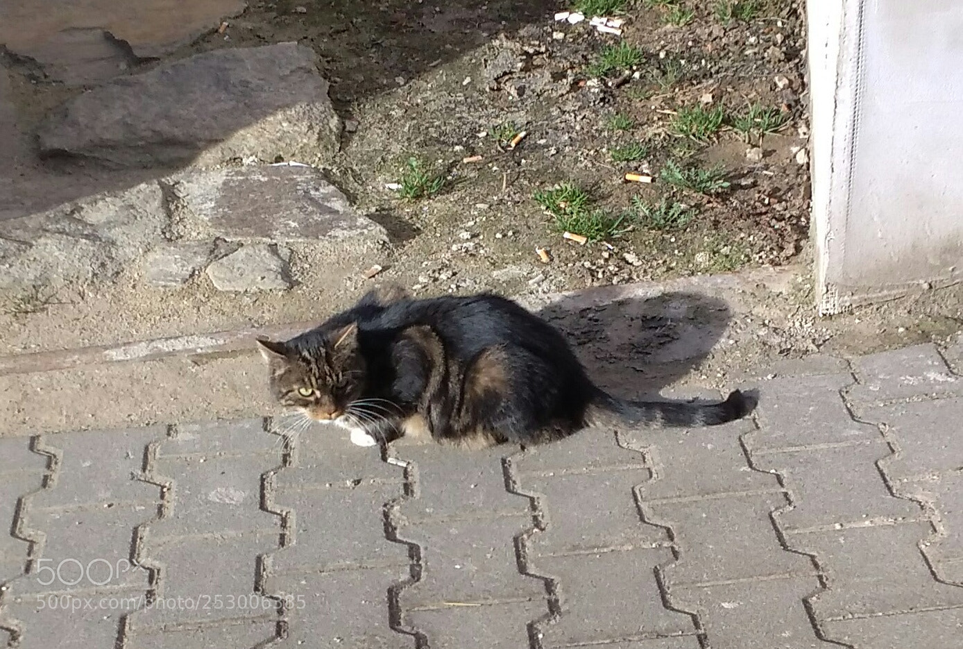 Xiaomi Redmi 4A sample photo. Untitled photography