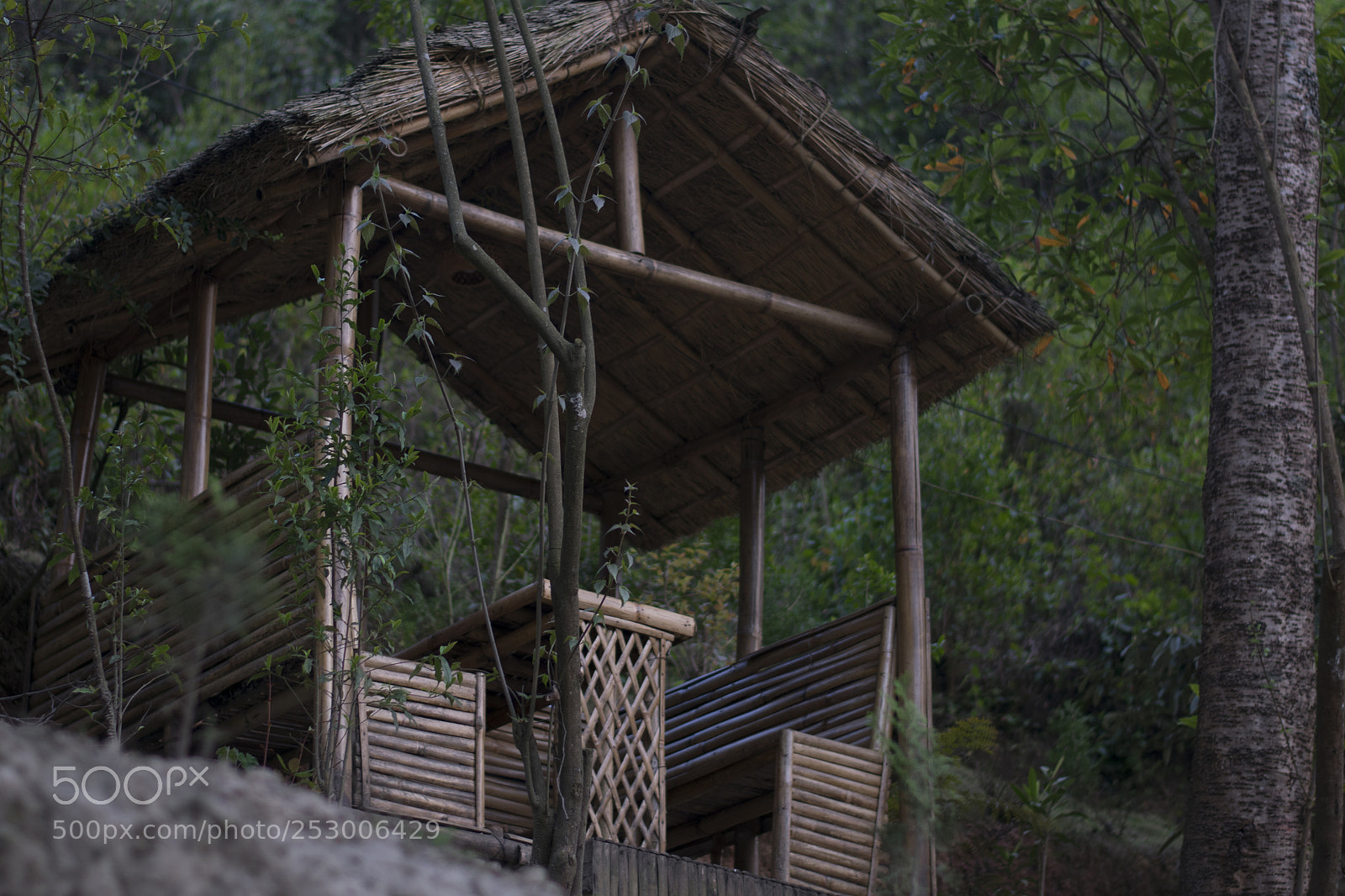 Nikon D3400 sample photo. Bamboo hut photography