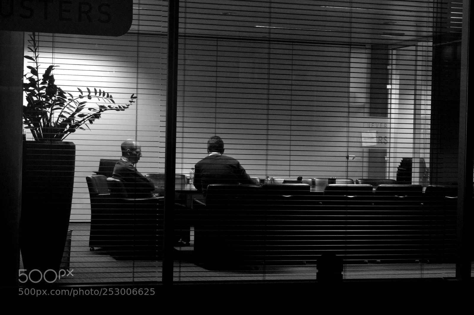Nikon D3200 sample photo. The meeting photography