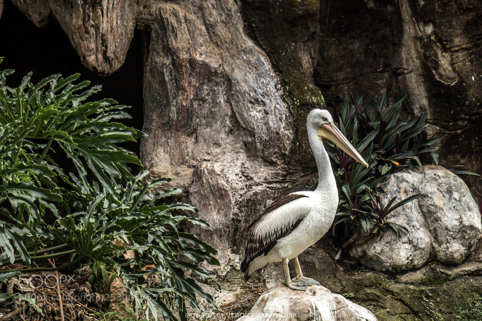 Canon EOS 80D sample photo. A trip to the photography