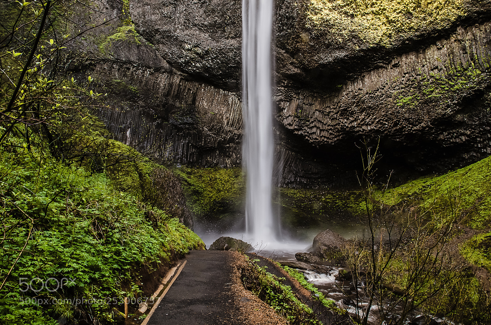Nikon D5100 sample photo. Path to the falls photography