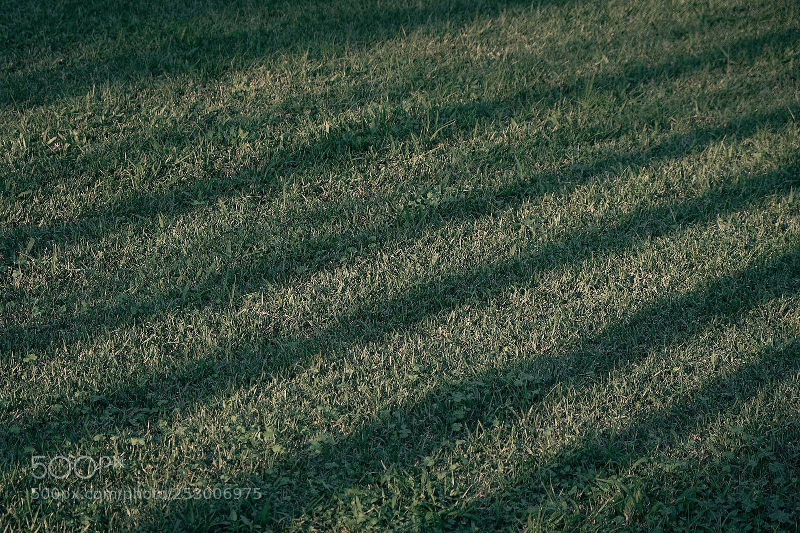Fujifilm X-Pro2 sample photo. Meadow photography