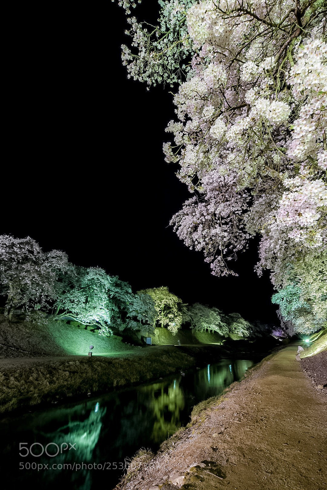 Nikon D7200 sample photo. うぐい川 photography