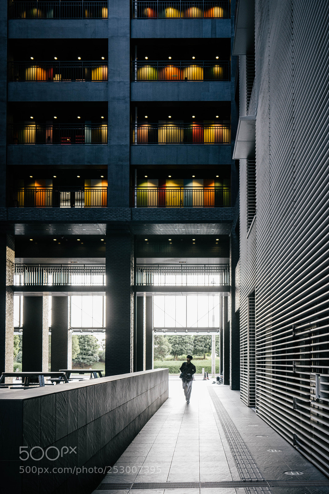Sony a7 II sample photo. Tokyo04 photography