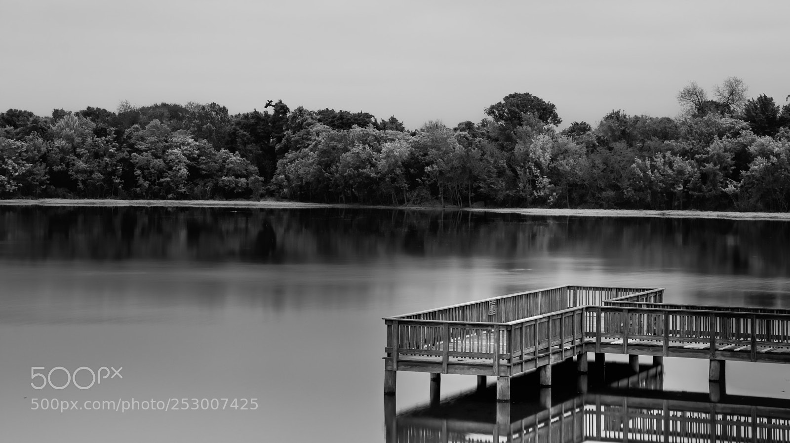 Canon EOS 80D sample photo. Untitled photography