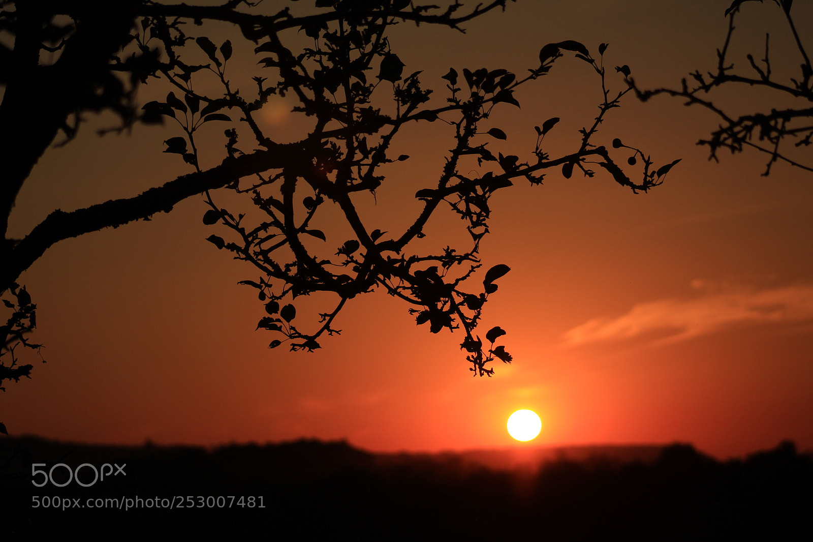 Canon EF 75-300mm f/4-5.6 sample photo. Sol photography
