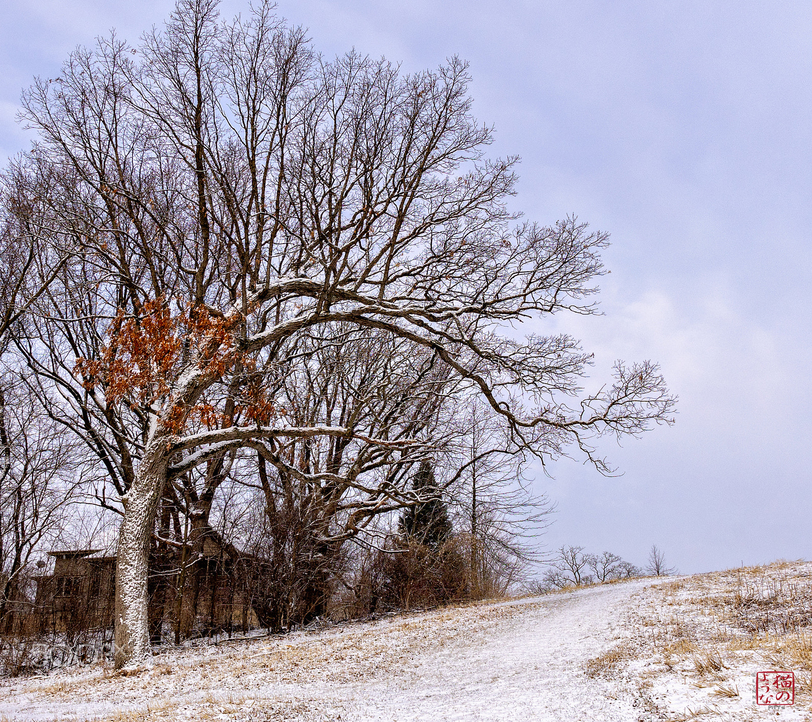Sony a7 sample photo. We are ready photography