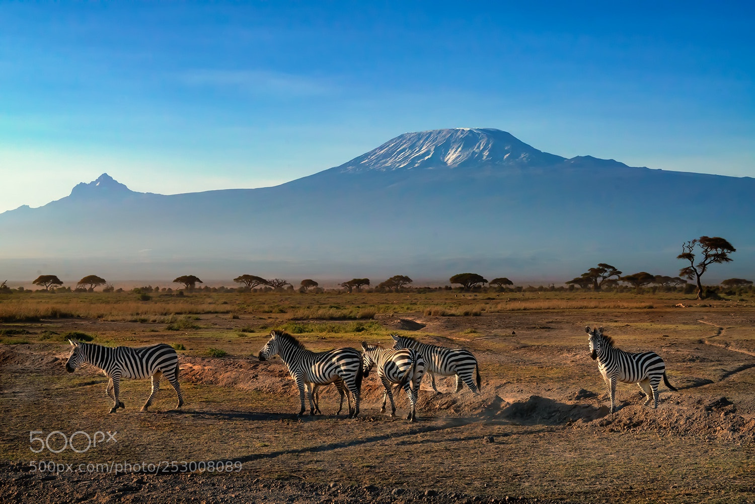 Sony a99 II sample photo. Amboseli national park and photography