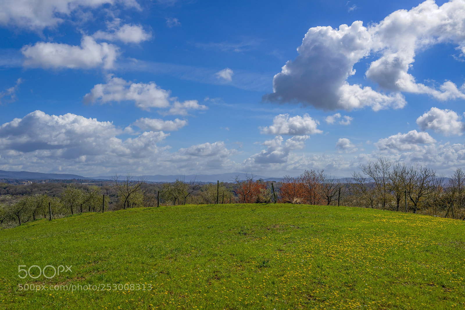 Nikon D800 sample photo. Springtime in tuscany photography