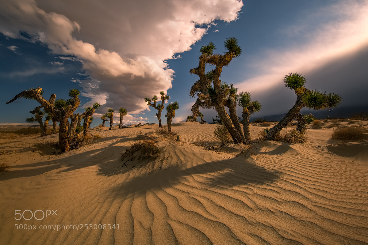 Sony a7R II sample photo. Split sky photography