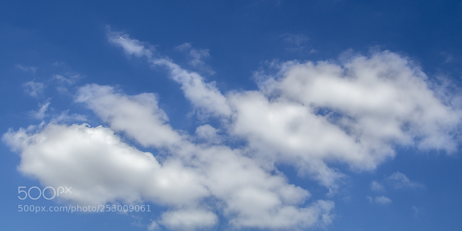 Canon EOS 80D sample photo. Dreams of icarus photography