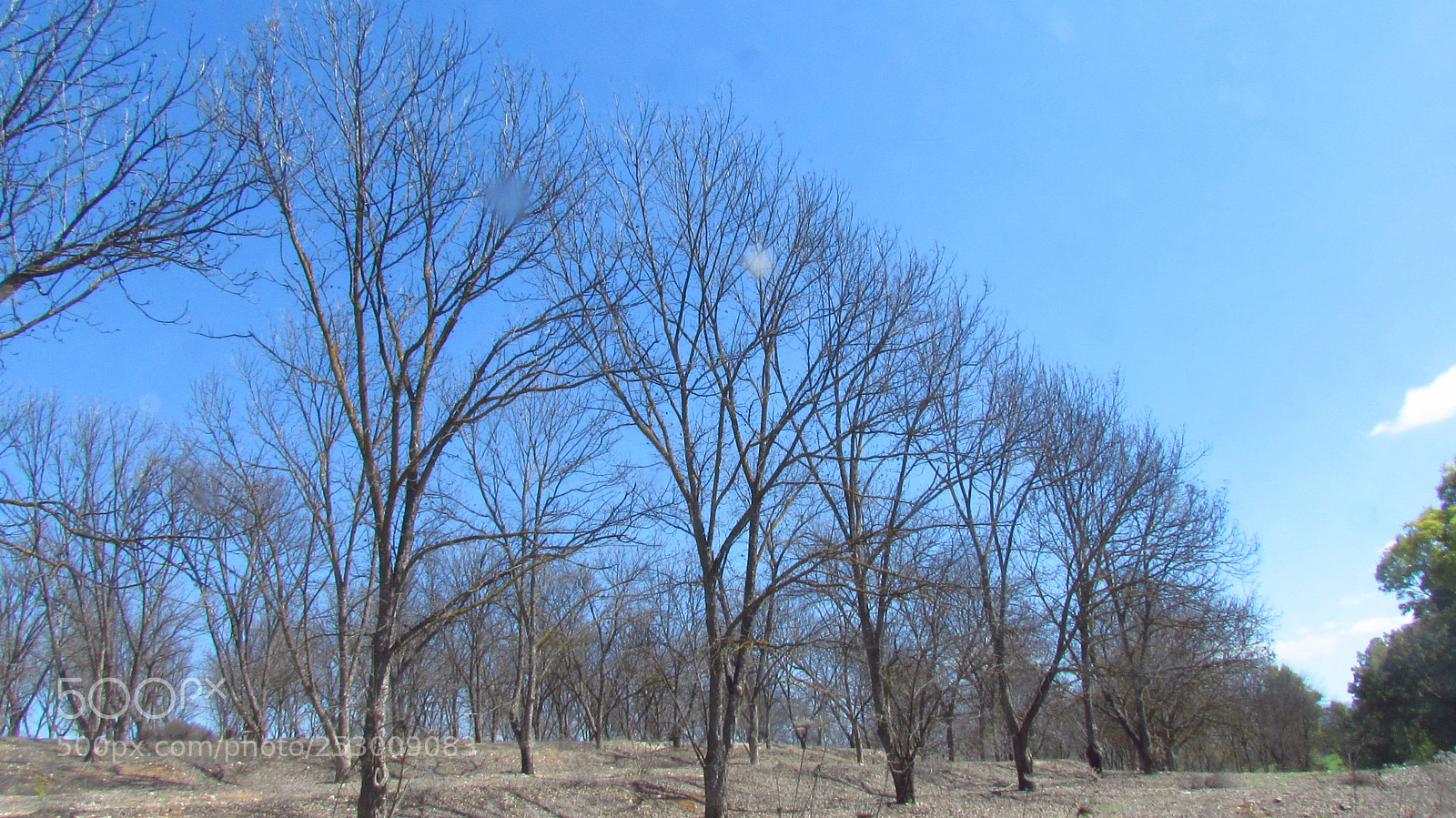 Canon PowerShot SX30 IS sample photo. Img photography