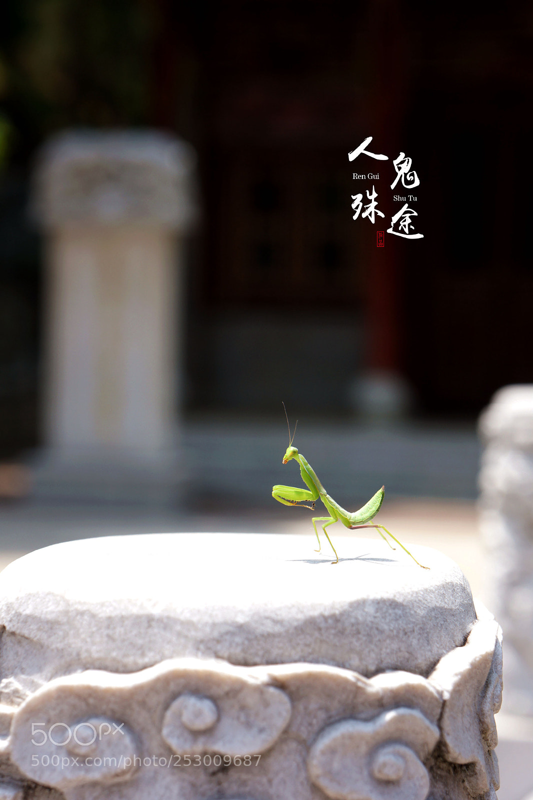 Sony Alpha NEX-7 sample photo. Untitled photography
