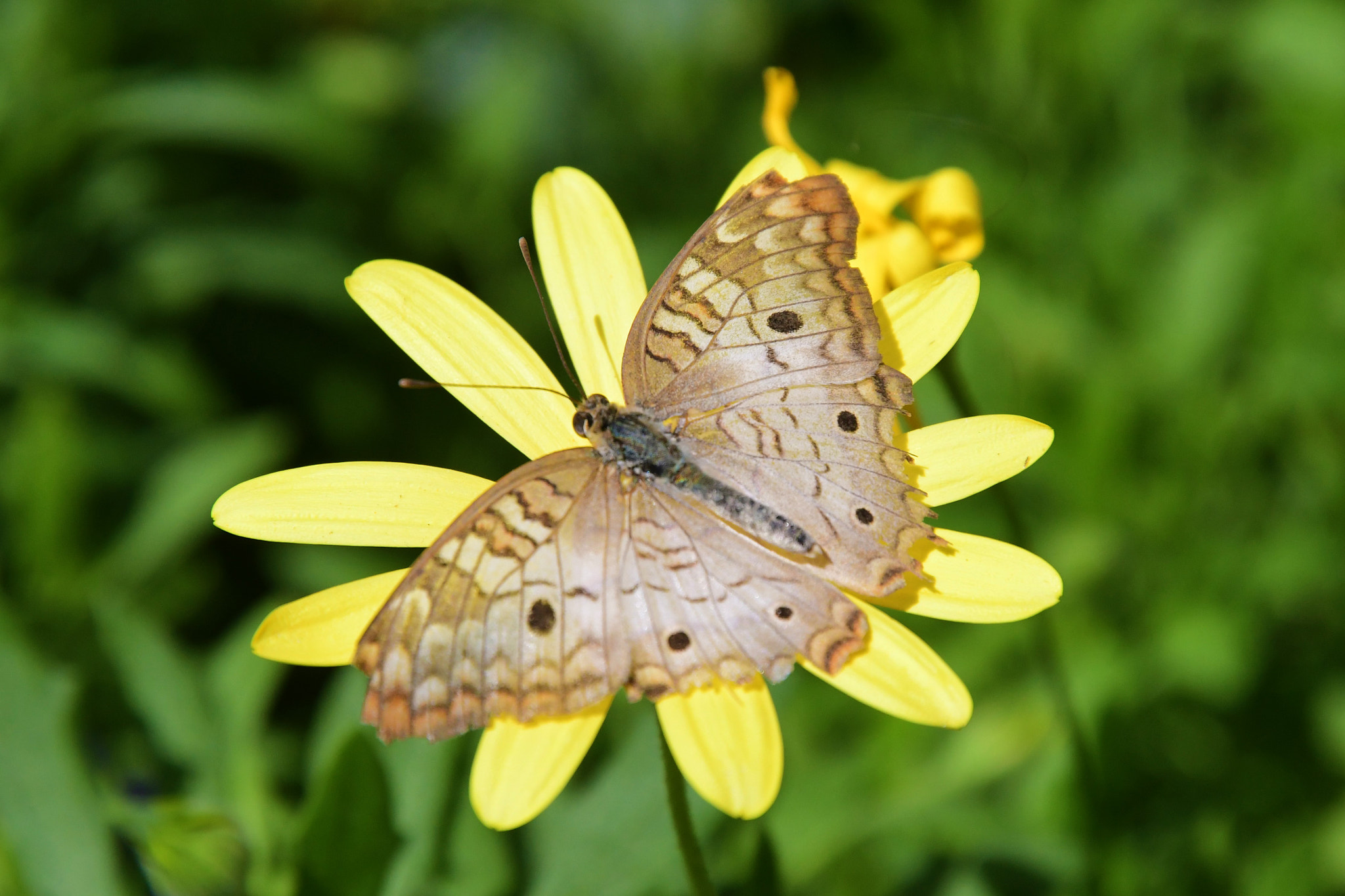 Nikon D7500 sample photo. Rest stop photography