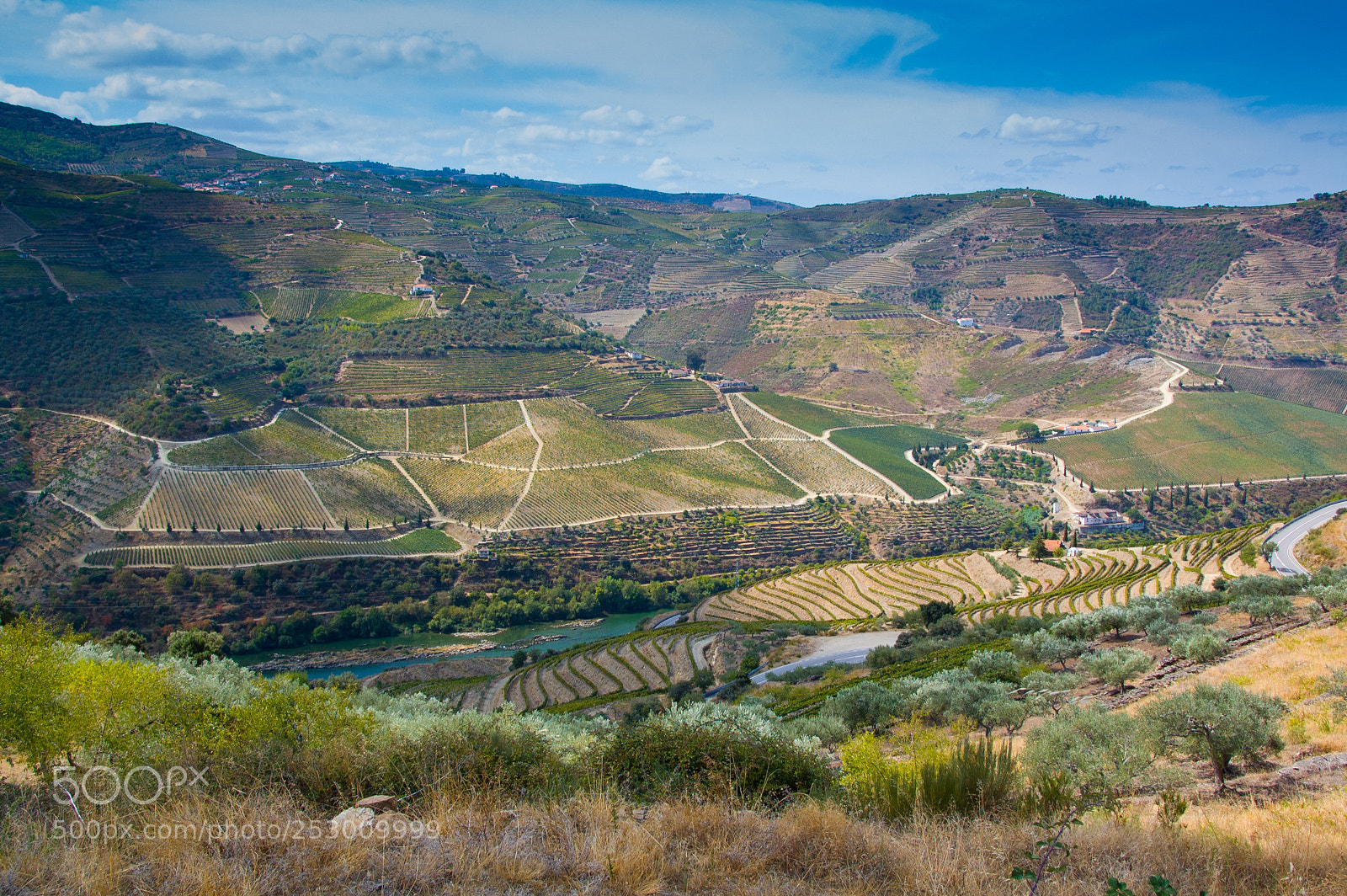 Nikon D40 sample photo. Sunny valley photography
