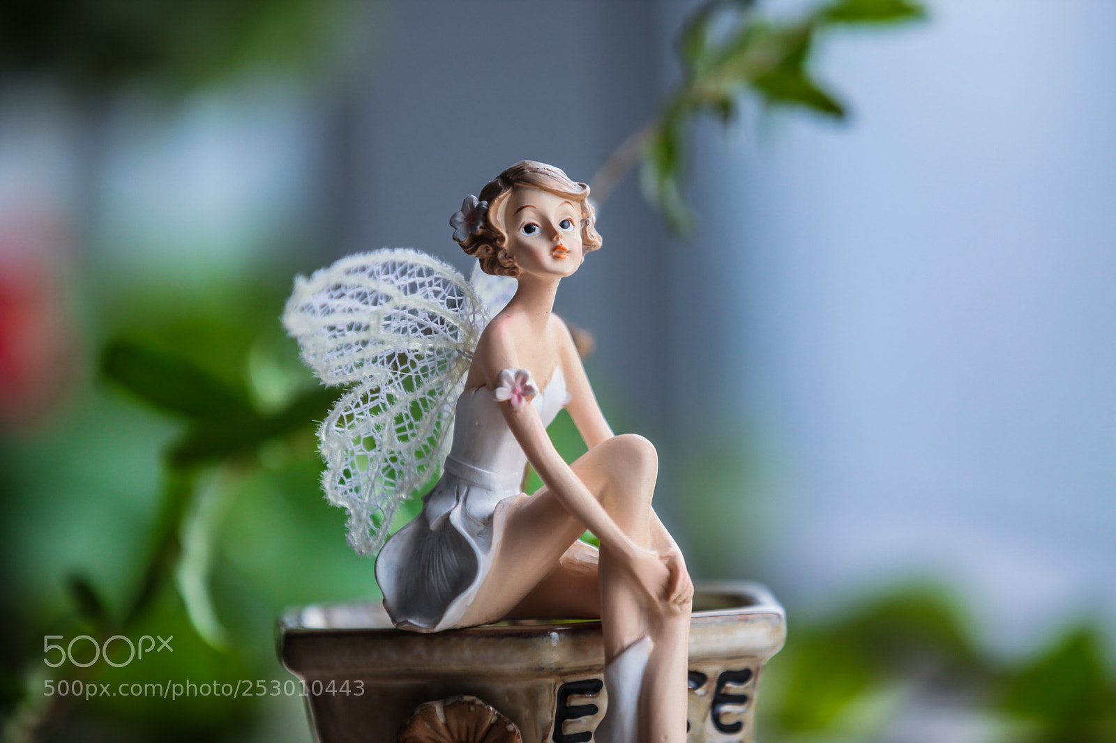 Canon EOS 5D Mark II sample photo. Img photography