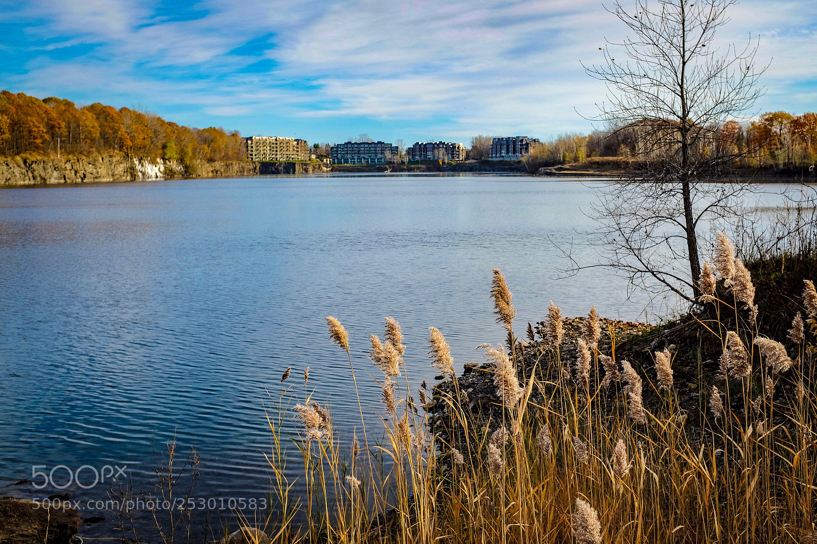 Fujifilm X100S sample photo. Autumn river  photography