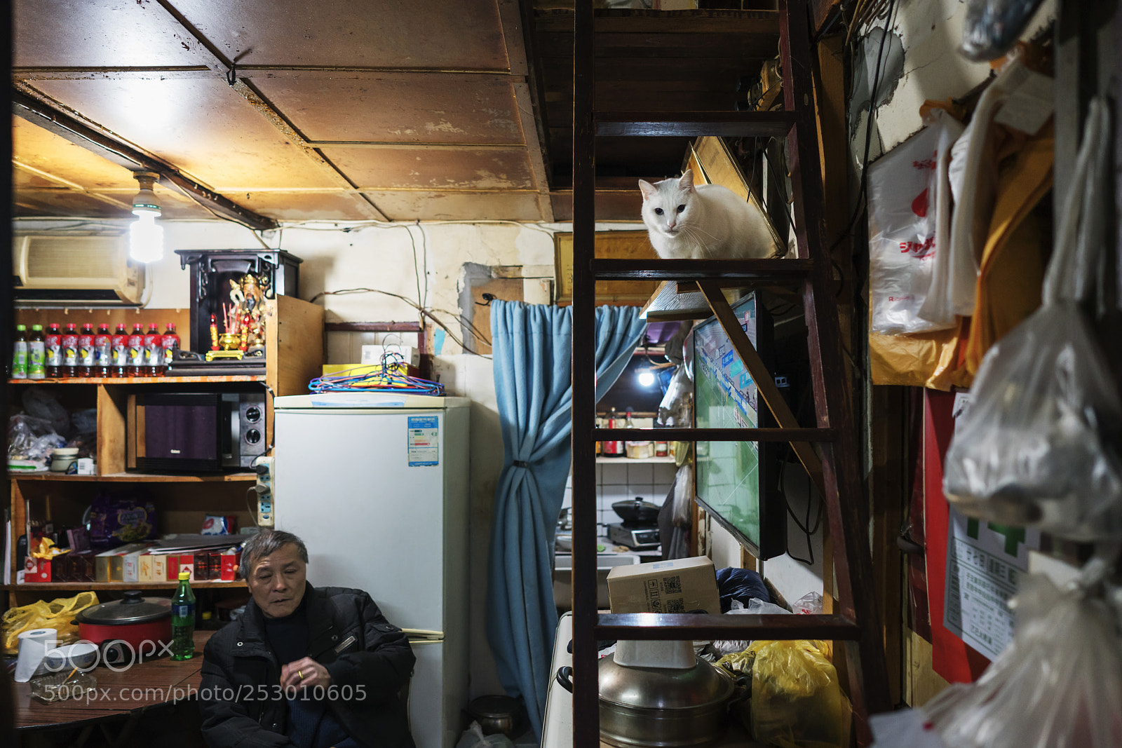 Sony a7R II sample photo. Untitled photography