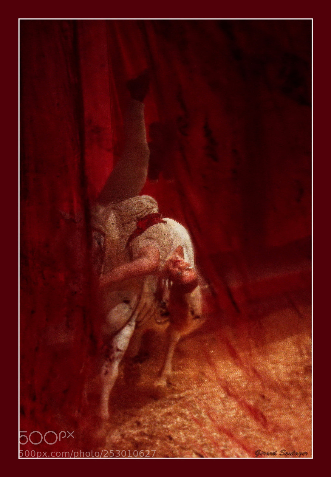 Nikon Df sample photo. Expo cirque equestre g photography