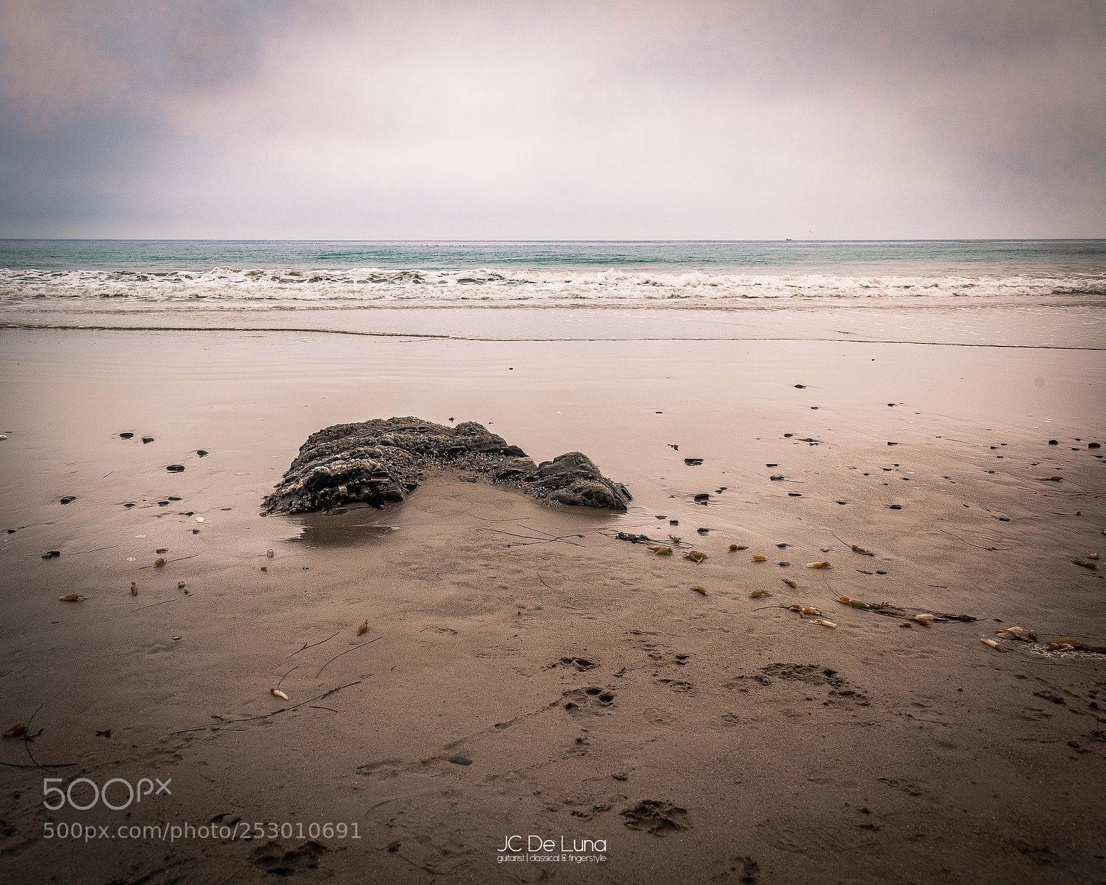 Canon EOS 5D Mark II sample photo. Arroyo burro beach dog photography