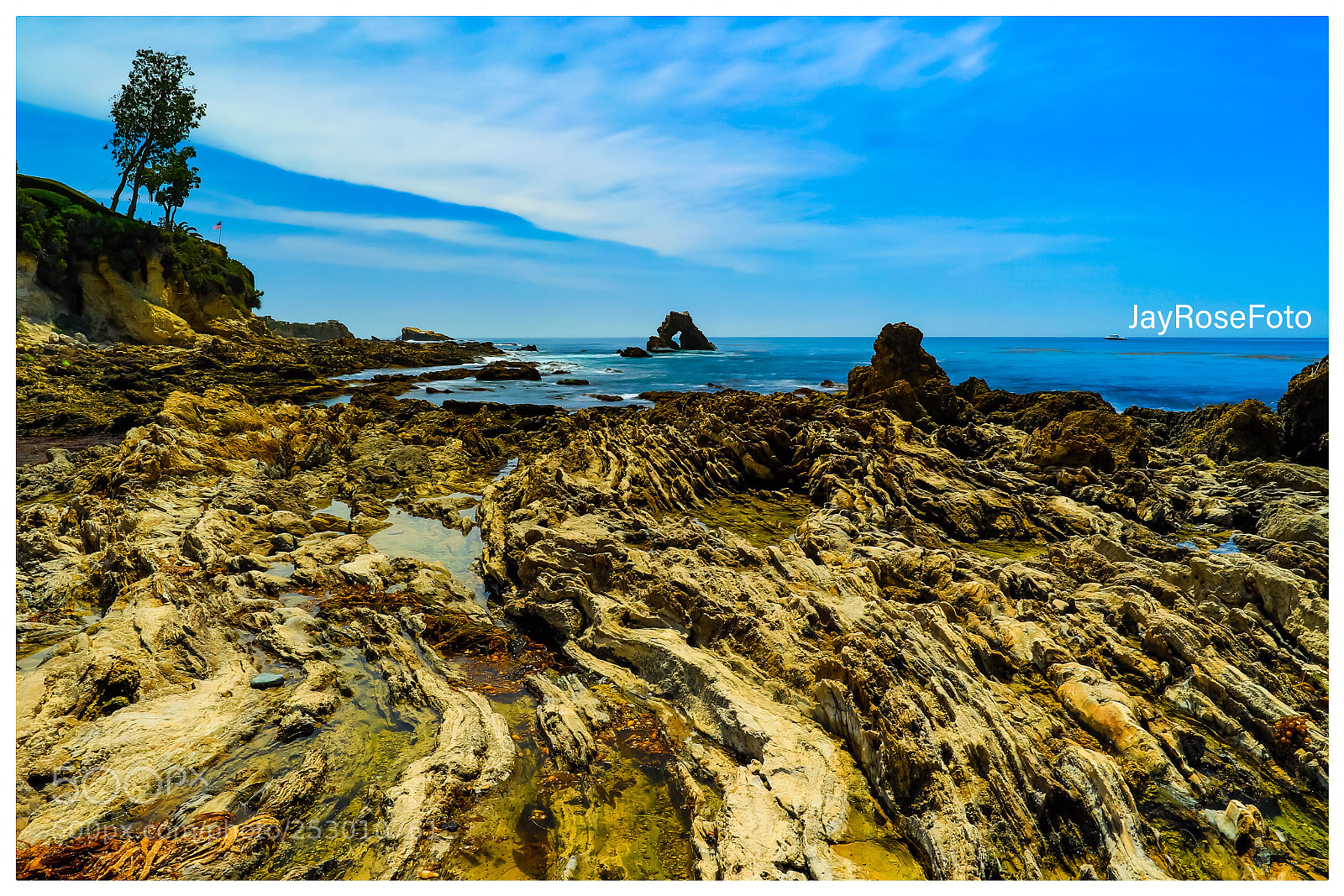 Canon EOS 5DS R sample photo. Archie  photography