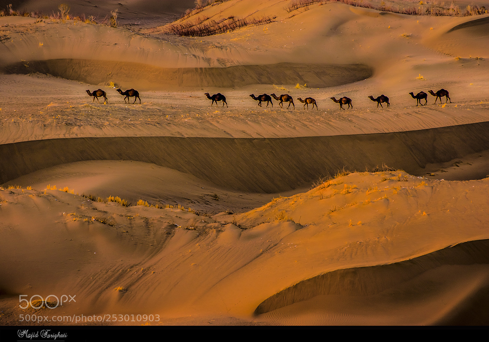 Nikon D7200 sample photo. Desert. shahrood iran photography
