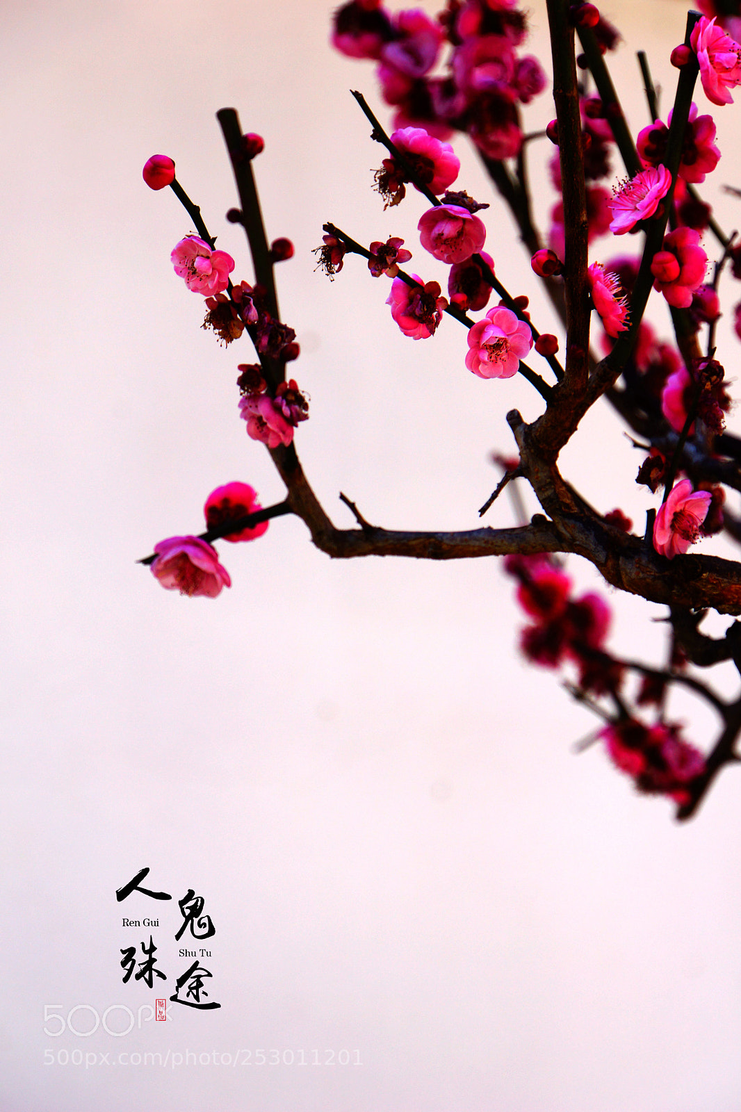 Sony Alpha NEX-7 sample photo. Untitled photography