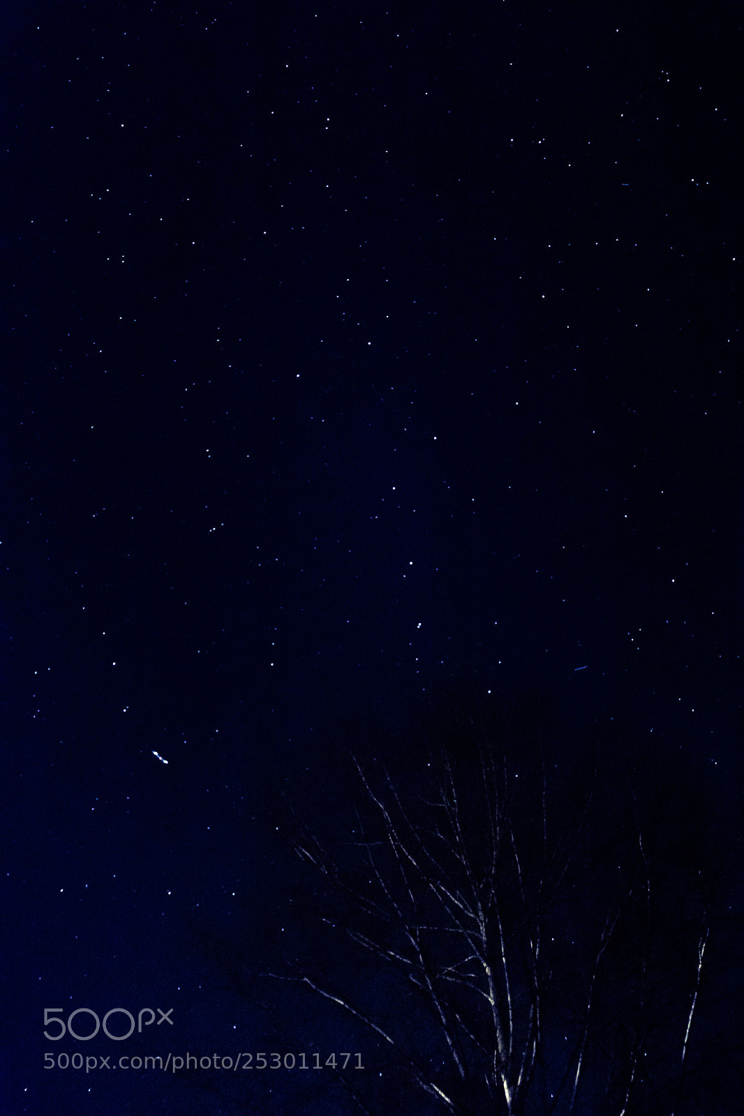Nikon D7100 sample photo. Night sky 2 photography