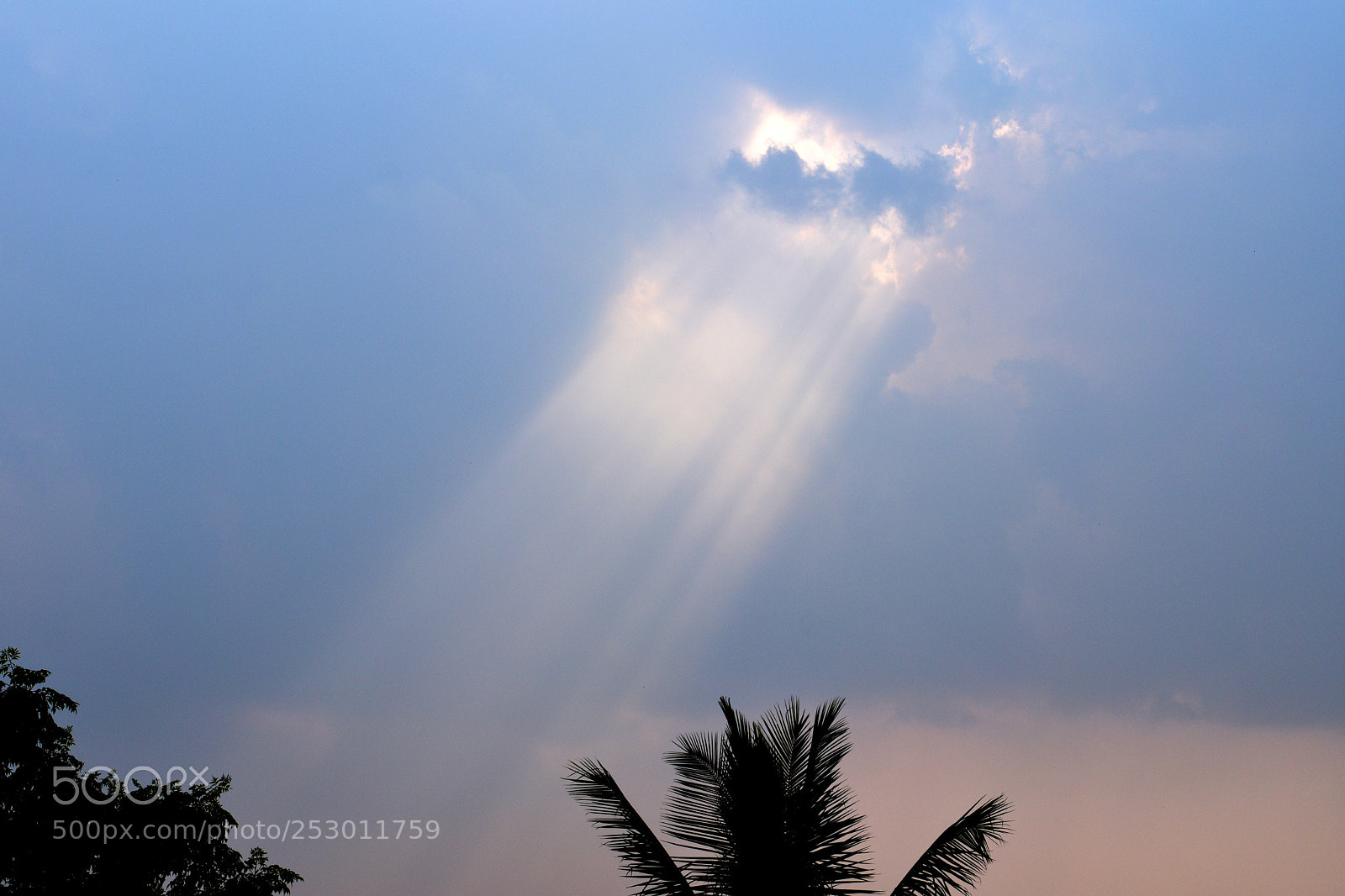 Nikon D5300 sample photo. Enlightened photography