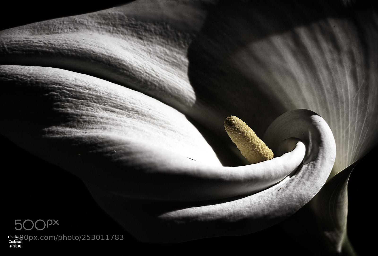 Olympus OM-D E-M10 II sample photo. Sombras photography