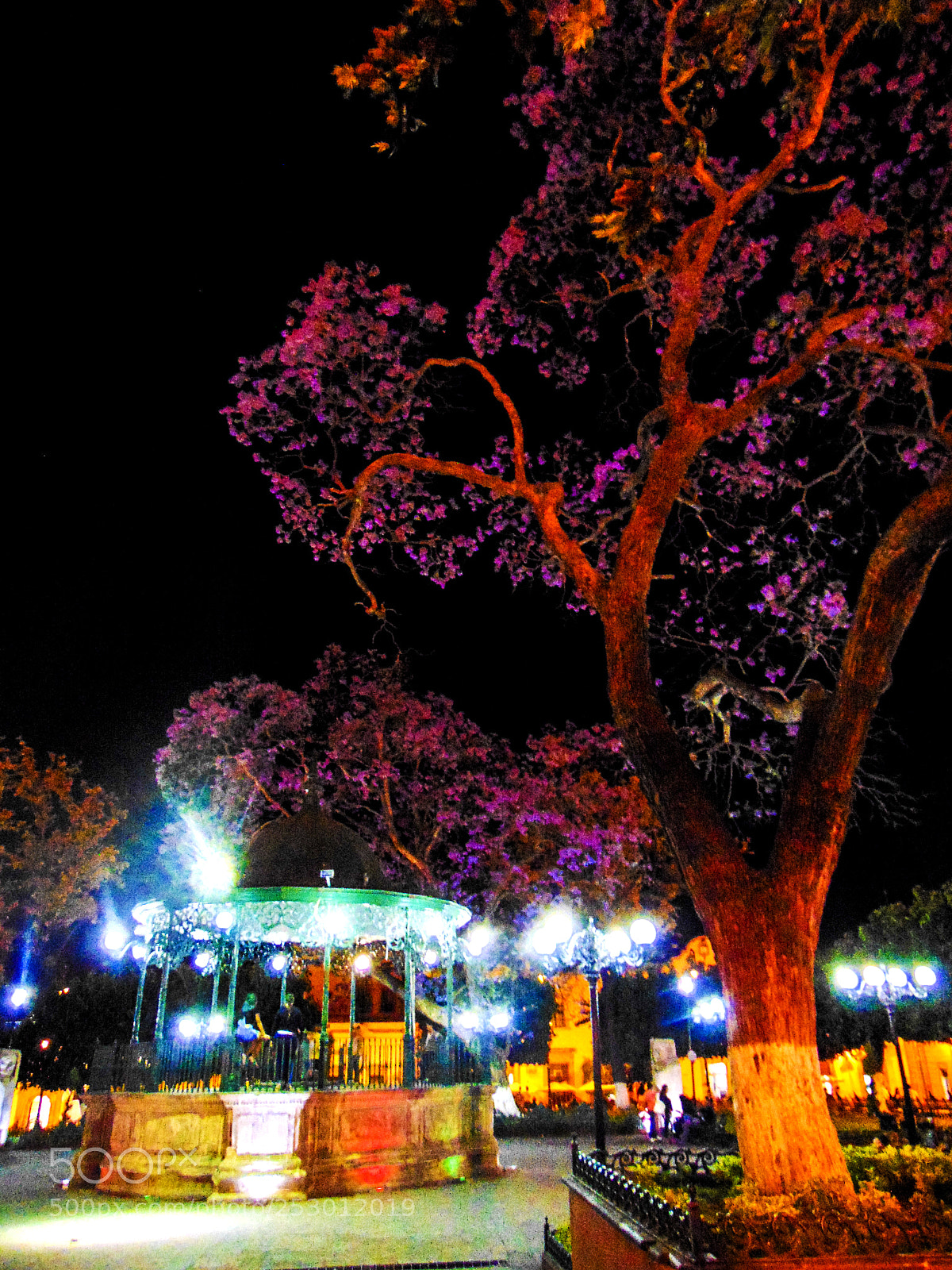 Sony Cyber-shot DSC-H300 sample photo. Quiosco frances photography