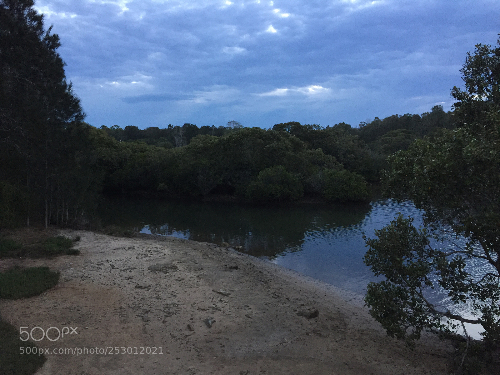 Apple iPhone 6 sample photo. Swamp with clouded sky photography