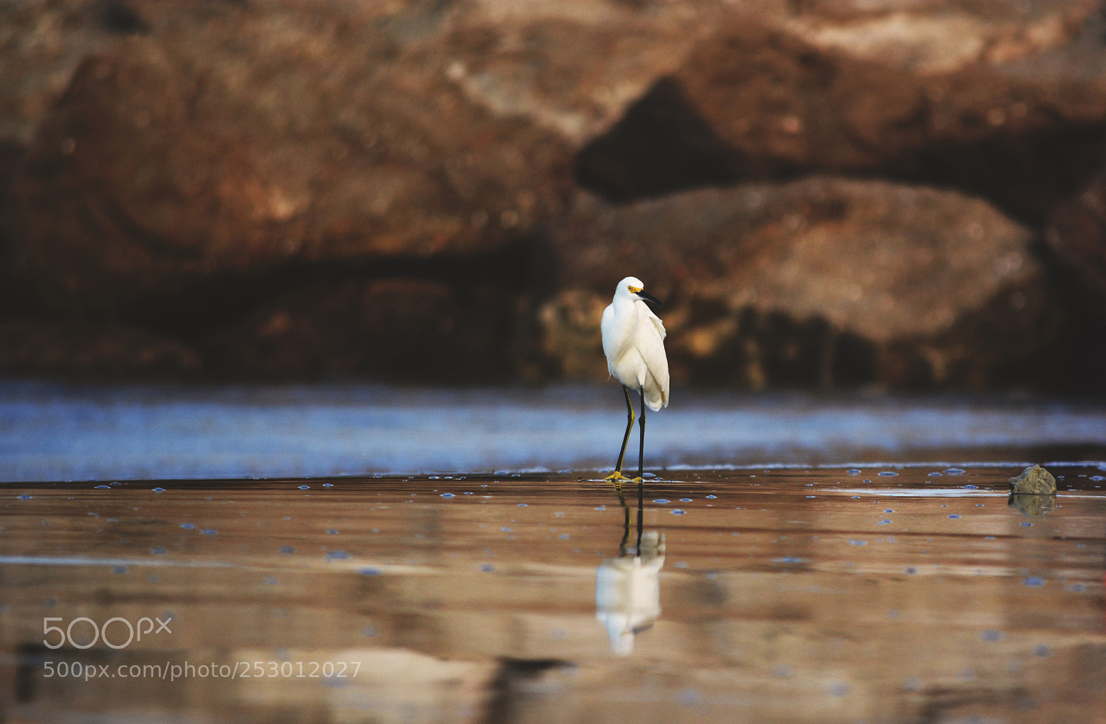 Nikon D7100 sample photo. Lifeisbeautiful.jpg photography