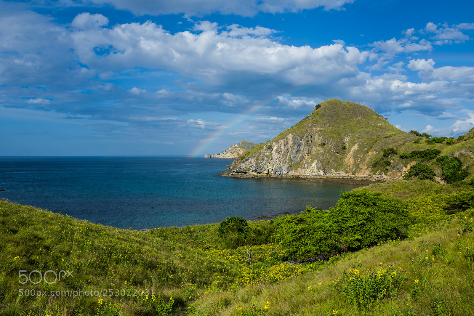 Leica Q (Typ 116) sample photo. Padar island in flores photography