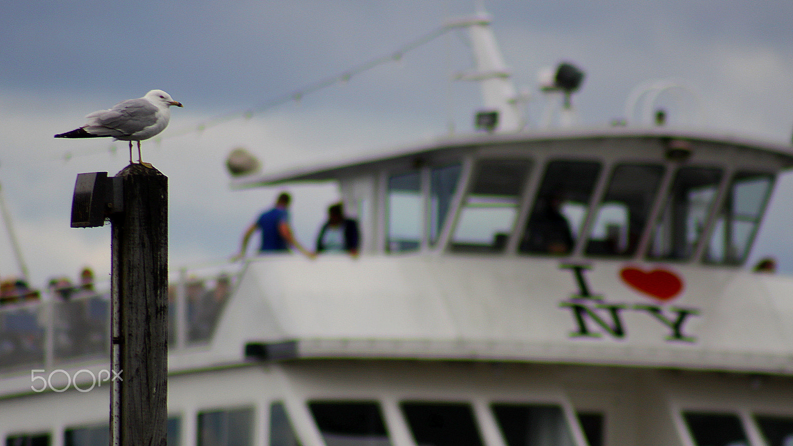 Canon EF 75-300mm f/4-5.6 sample photo. Alexandra bay photography
