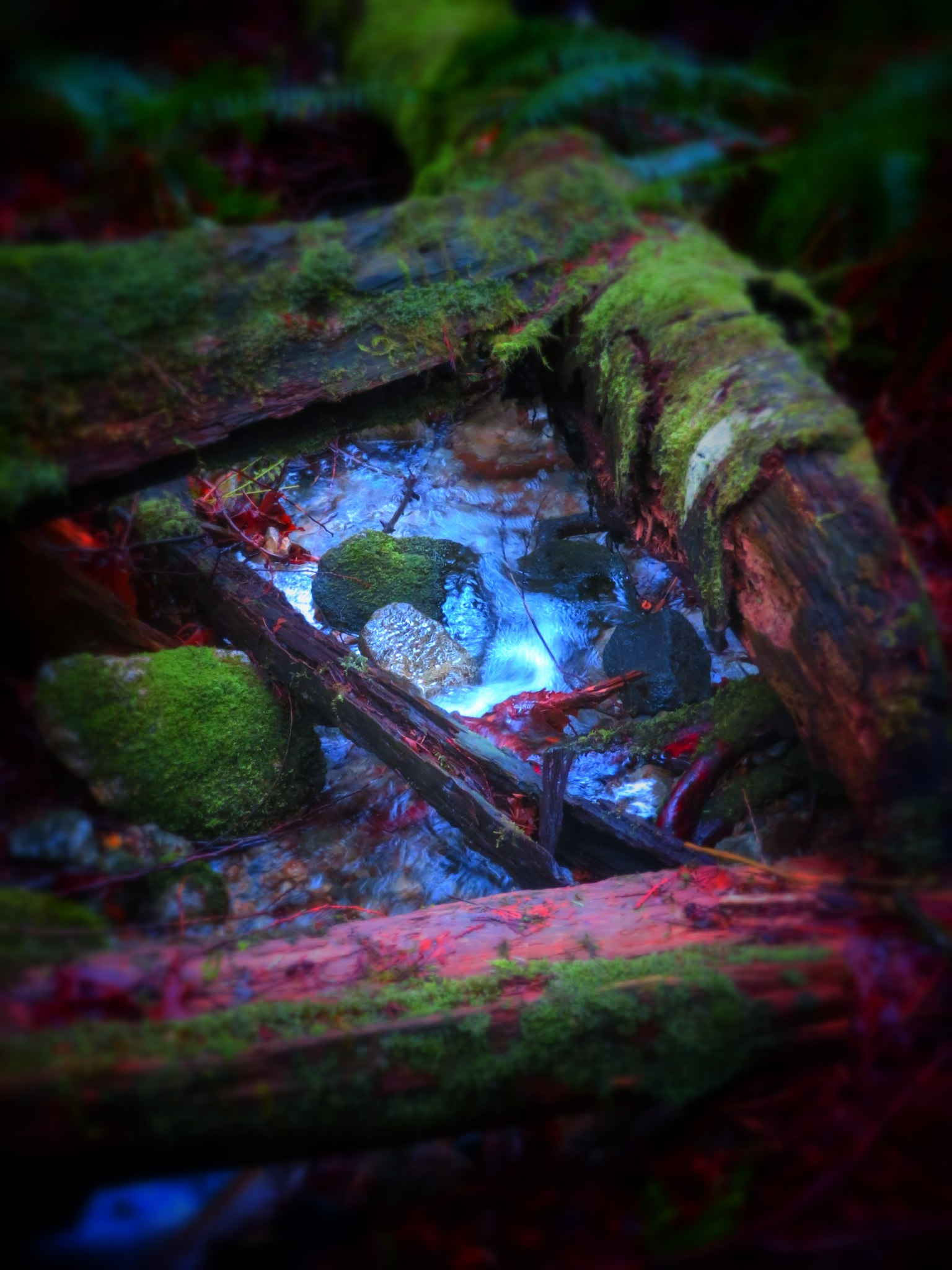 Canon PowerShot SX730 HS sample photo. Mossy creek photography