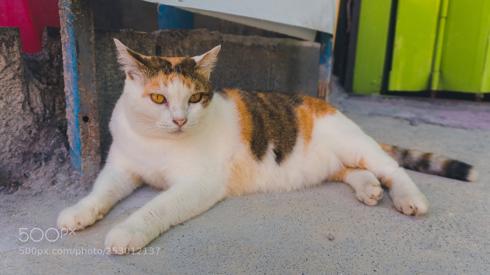Sony a6300 sample photo. Dsc photography