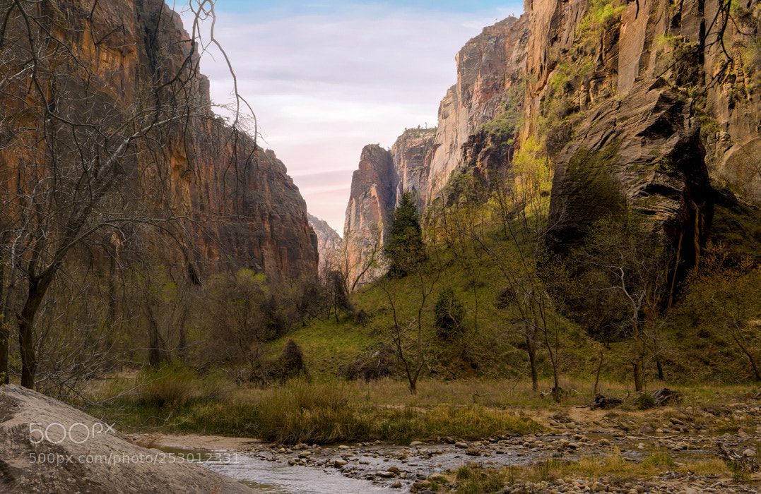Sony a7 II sample photo. Valley floor photography