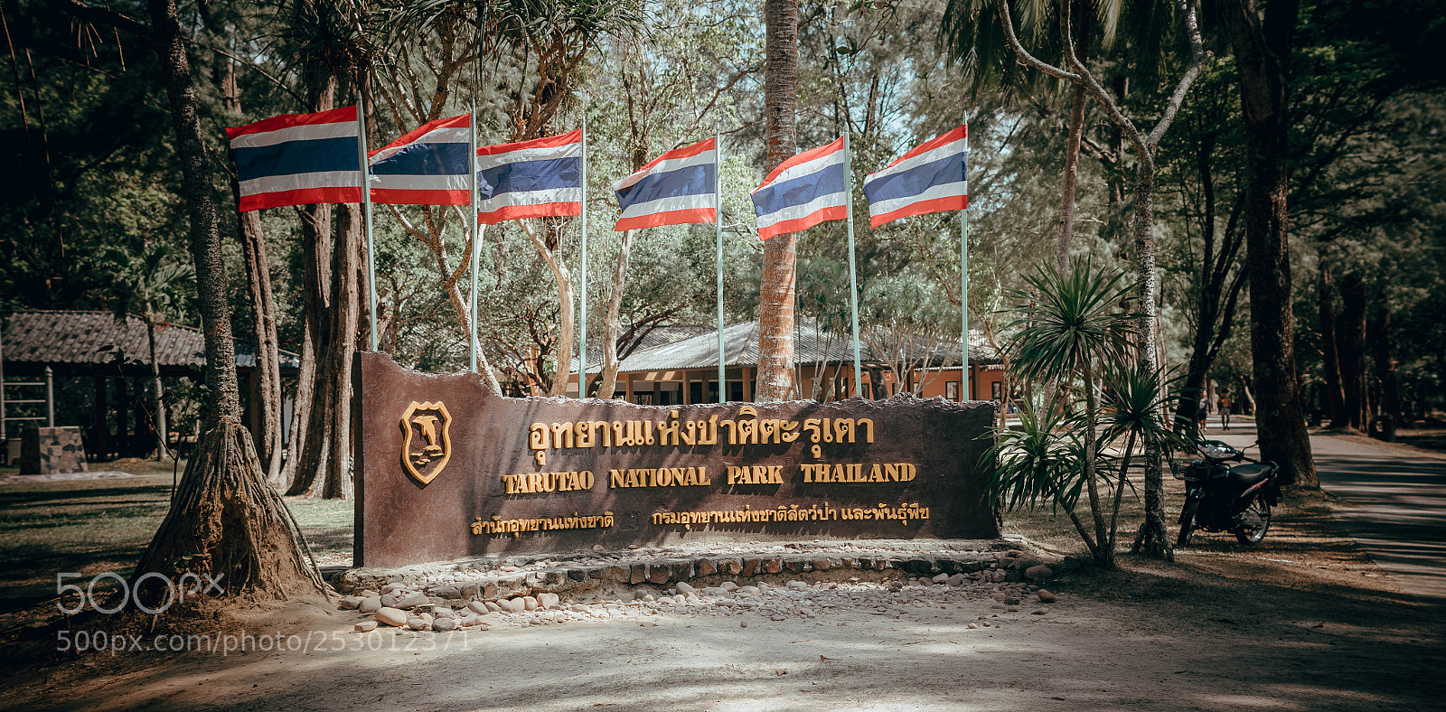 Sony a6300 sample photo. Dsc photography