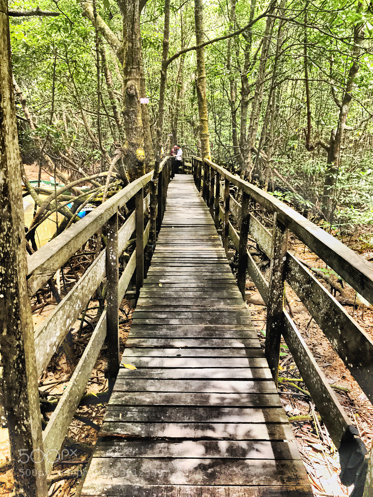 Apple iPhone 7 sample photo. Manggrove photography