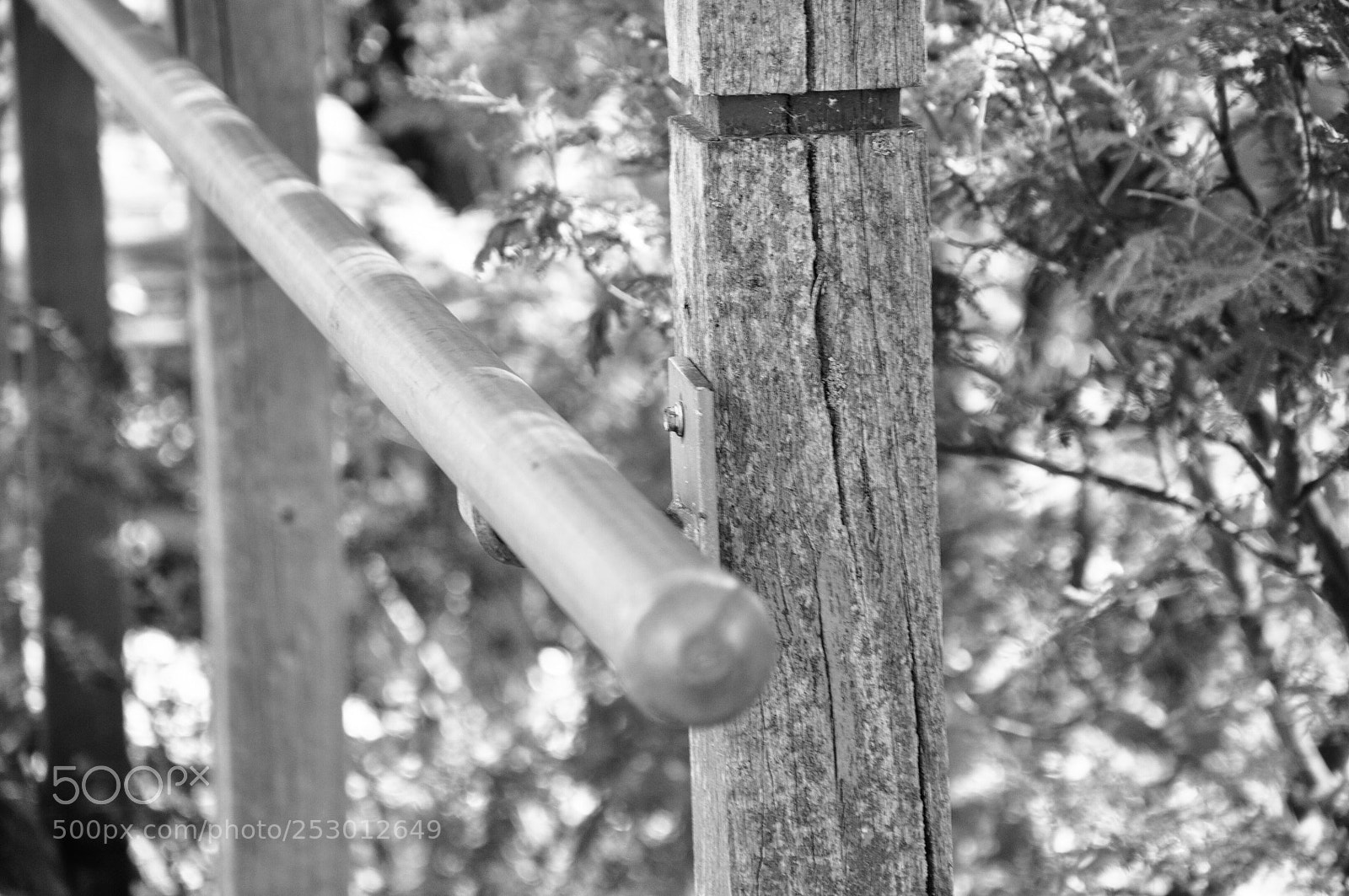 Nikon D90 sample photo. Railings  photography