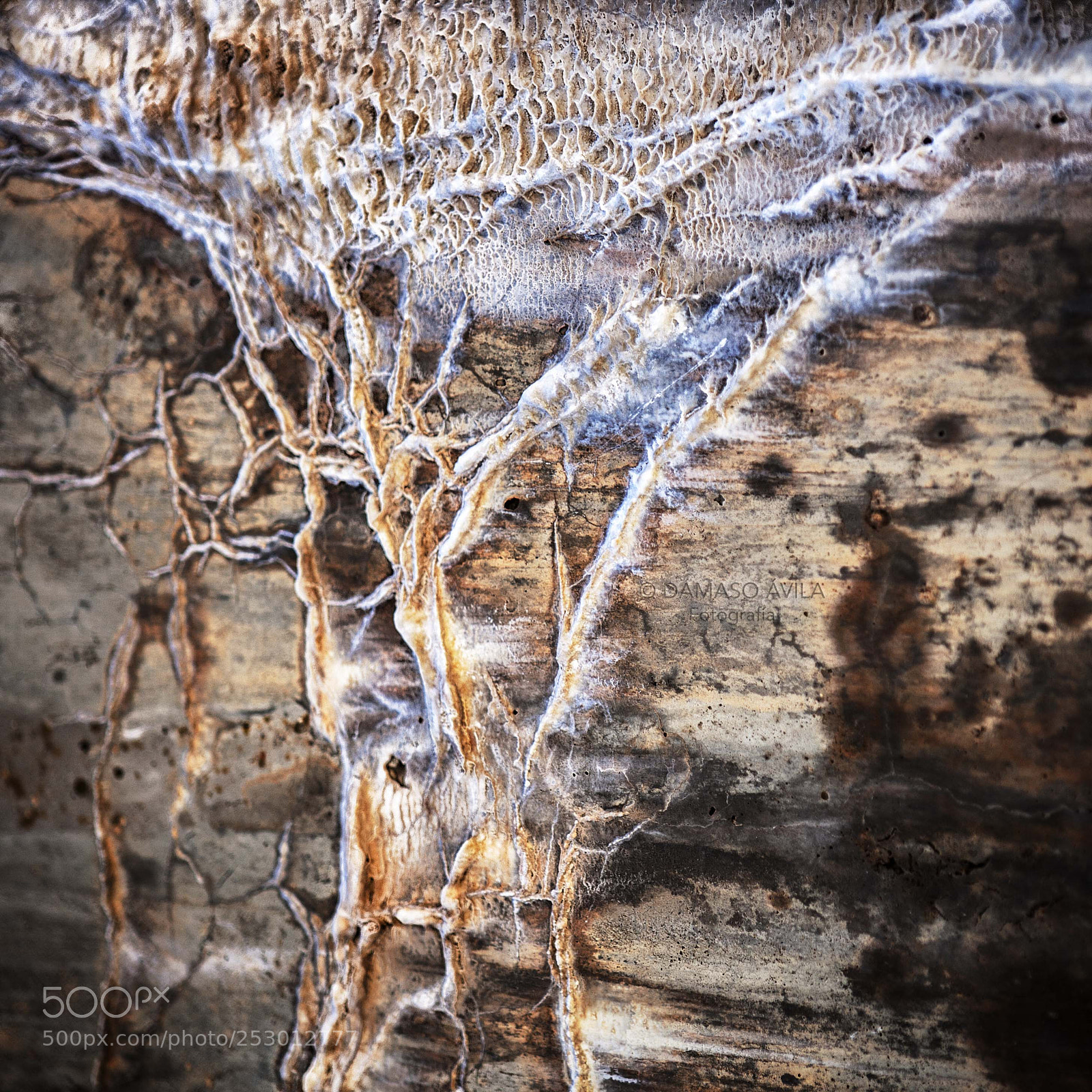 Canon EOS 5D sample photo. Stone tree photography