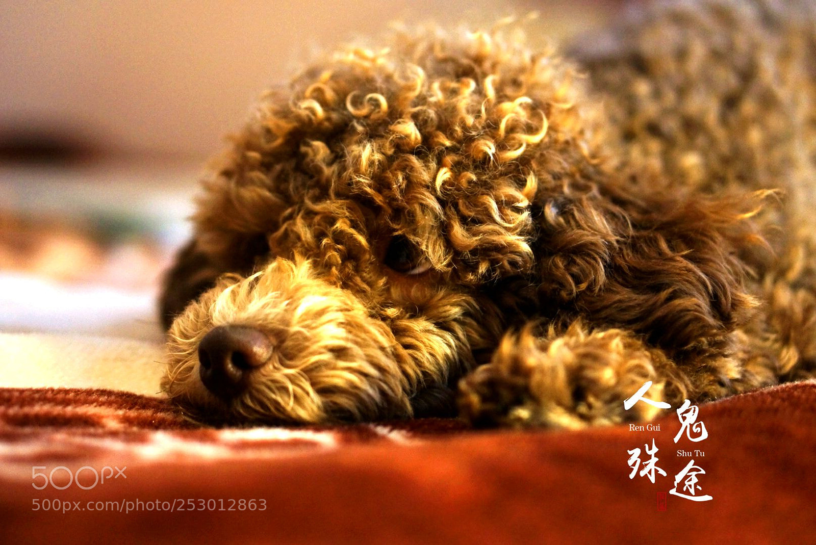 Sony Alpha NEX-7 sample photo. Untitled photography