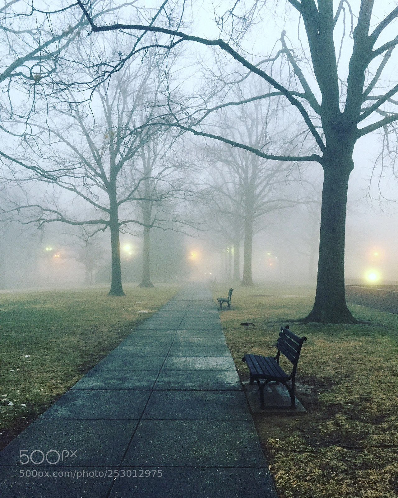 Apple iPhone 6 sample photo. Foggy d.c. morning photography