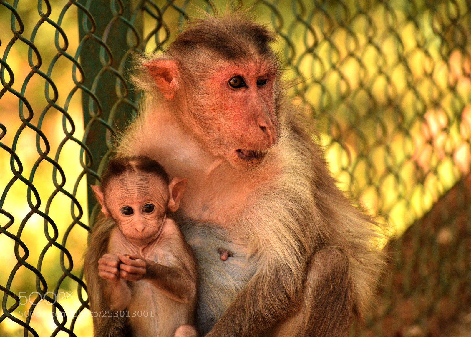 Nikon D5300 sample photo. Mother and son photography
