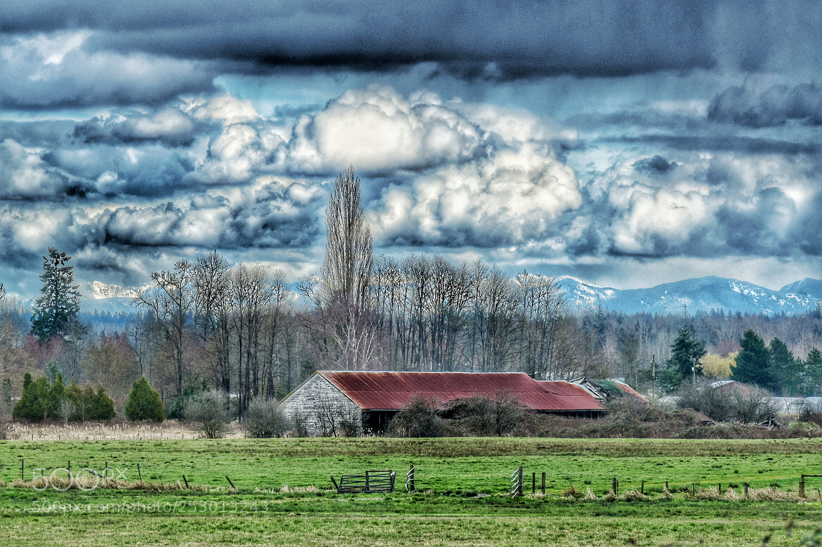 Nikon D5500 sample photo. Rusty roof barn photography